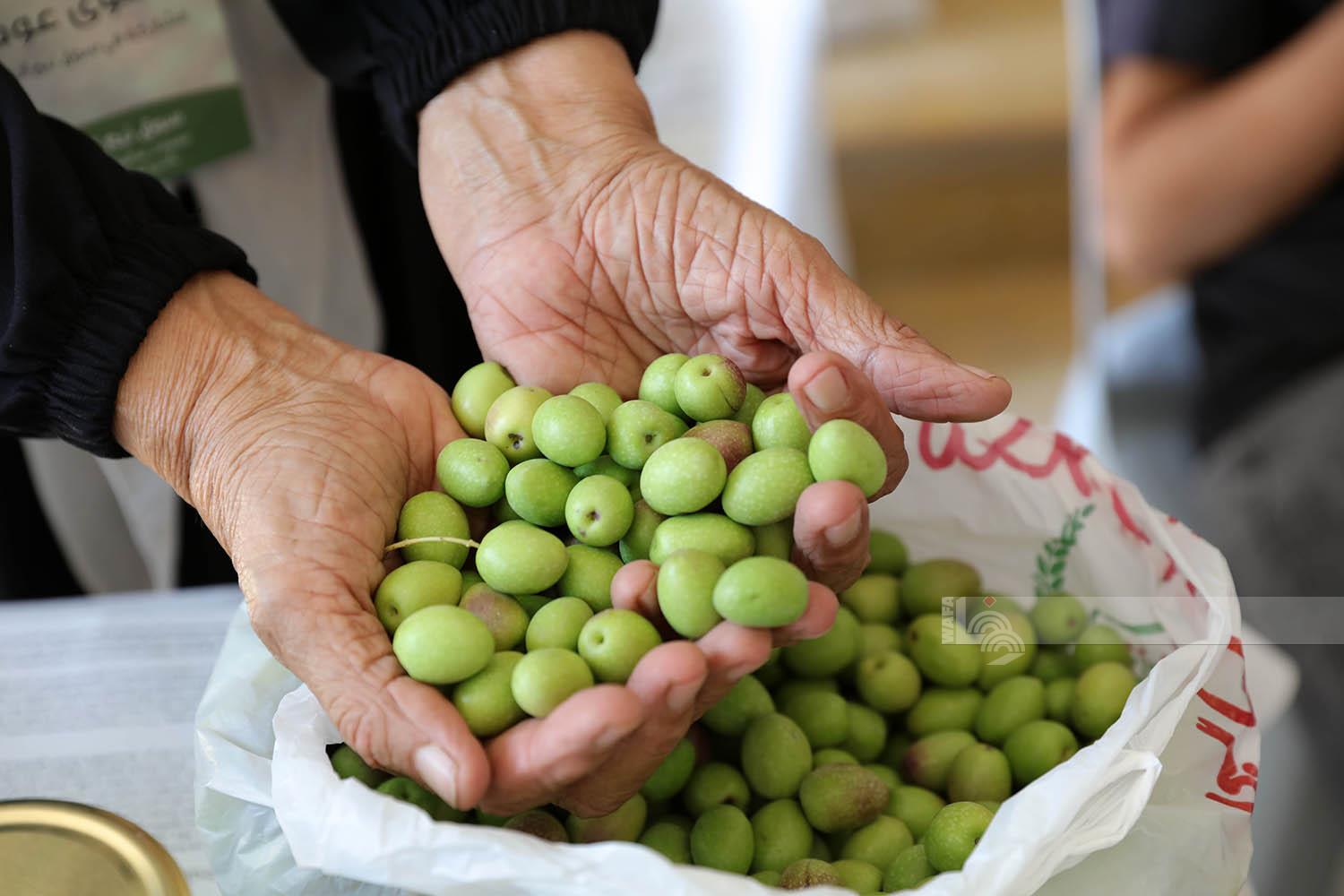 جانب من فعاليات المهرجان ويوم التسوق (تصوير: أحمد مزهر/وفا)